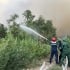 Cà Mau: Thực hiện nhiệm vụ phòng cháy, chữa cháy rừng
