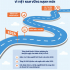 Infographic: Tăng thuế thuốc lá – Giải pháp bảo vệ sức khỏe cộng đồng và phát triển bền vững