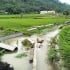 Yên Bái: Mưa lớn gây ngập lụt nhà dân và hơn 5ha nông nghiệp thiệt hại