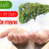 Lối Sống Hiện Đại Đang Âm Thầm Tàn Phá Lá Gan Của Chúng Ta