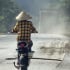 Thanh Hóa: Cận cảnh đoàn xe tải trọng lớn gây “bão bụi” trên đường mòn Hồ Chí Minh