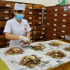 Vị thuốc cổ truyền phải công bố tiêu chuẩn chất lượng trước khi lưu hành