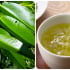 Nước lá vối: Thức uống truyền thống tốt cho sức khỏe, nhưng có phải ai cũng dùng được?