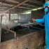 Thanh Hóa: Tiêu hủy gần 7.000 con lợn do dịch tả lợn châu Phi lan rộng