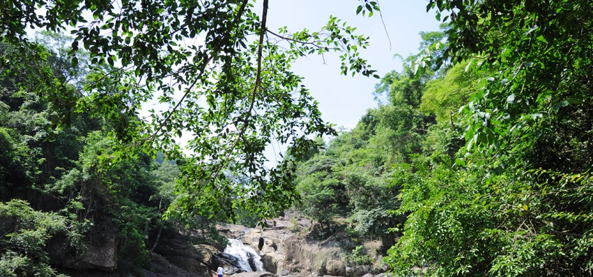 Bắc Giang triển khai thực hiện đề án Phát triển giá trị đa dụng của hệ sinh thái rừng