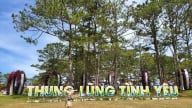 Lâm Đồng: Công ty Cổ phần Điện Đạ Sar nợ thuế hơn 344 tỷ đồng