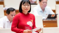 Đại biểu Quốc hội cảnh báo hơn 600 'doanh nghiệp ma' xuất trên 1 triệu hóa đơn khống