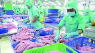7 doanh nghiệp cá tra Việt Nam được áp thuế chống bán phá giá 0% khi xuất khẩu sang Mỹ
