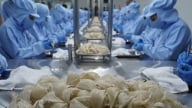 Công ty TNHH sản xuất Yến sào Khánh Hòa bị phạt 115 triệu đồng vì khai khống vốn điều lệ