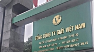 Tổng công ty Giấy Việt Nam bị xử phạt gần 1,9 tỷ đồng