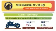 Tình hình kinh tế - xã hội 10 tháng