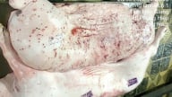 C.P. Việt Nam bị tố bán thịt heo bệnh: Bộ Công an vào cuộc