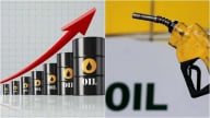 Giá dầu thế giới đảo chiều tăng