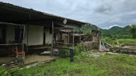 'Đắp chiếu' nhiều năm, dự án Công ty Giống chăn nuôi miền Bắc bị thu hồi đất