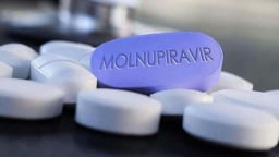 WHO khuyến cáo trẻ em, phụ nữ có thai và đang cho con bú không nên dùng thuốc Molnupiravir