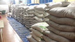 Điều tra hai vụ nghi nhập lậu hơn 24 tấn đường tại Đồng Nai