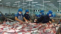 Khoảng 10 doanh nghiệp thủy sản Việt không bị áp thuế chống bán phá giá của Mỹ