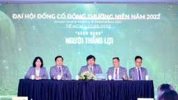 Tập đoàn Thắng Lợi: Đặt mục tiêu doanh thu tăng 354%, chuẩn bị kế hoạch IPO