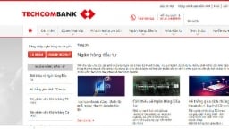 Thanh tra đầu tư trái phiếu tại loạt ngân hàng Techcombank, TPBank, SHB, PVComBank và VietBank