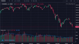 Chứng khoán 22/6: VN-Index giảm hơn 3 điểm