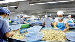 Ngành điều xin giảm doanh số xuất khẩu