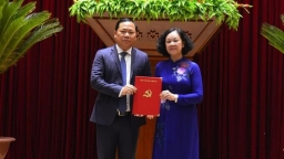 Chủ tịch tỉnh Bình Định Nguyễn Phi Long làm tân Bí thư tỉnh Hòa Bình