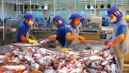 Xuất khẩu cá tra đạt gần 1,8 tỷ USD