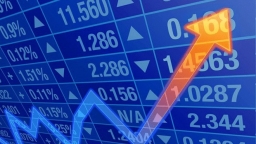 Cổ phiếu ngập sắc xanh, VN-Index tăng 13,5 điểm