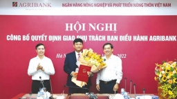 Giao nhiệm vụ phụ trách Ban điều hành Agribank cho ông Phạm Toàn Vượng