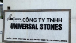 Nợ thuế hơn 4,8 tỷ đồng, Công ty Universal Stones bị dừng làm thủ tục hải quan