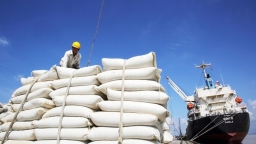 Giá gạo xuất khẩu Việt Nam cao nhất trong vòng 1 năm qua
