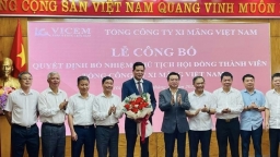 Cục Trưởng Cục Quản lý nhà và Thị trường bất động sản làm Chủ tịch VICEM