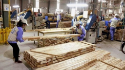 Đề xuất tháo gỡ khó về hoàn thuế VAT cho doanh nghiệp gỗ