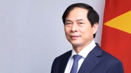 Bộ trưởng Bộ Ngoại giao Bùi Thanh Sơn bị đề nghị kỷ luật