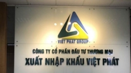 Phạt lãnh đạo Công ty Xuất nhập khẩu Việt Phát và Công ty Xây dựng Bạch Đằng
