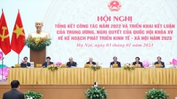 Chính phủ họp trực tuyến với các địa phương