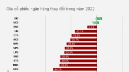 Một năm 'khó' của cổ phiếu ngân hàng