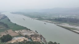 Nghệ An: Phạt và đình chỉ khai thác cát đối với 2 doanh nghiệp trên địa bàn