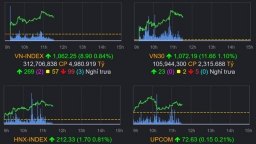 Cổ phiếu lớn hạ nhiệt, VN-Index chỉ tăng nhẹ hơn 2 điểm