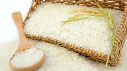 Giá gạo xuất khẩu Việt Nam tăng 15 USD/tấn