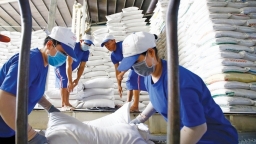Xuất khẩu gạo của Việt Nam năm 2023 có thể đạt 6,5 - 7 triệu tấn