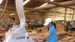 Hoa Kỳ gia hạn thời hạn kết luận lẩn tránh thuế chống bán phá giá gỗ dán nhập khẩu từ Việt Nam