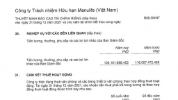 Manulife Việt Nam chi trăm tỷ cho công ty mẹ, thua lỗ triền miên