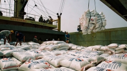 Giá trị xuất khẩu gạo tăng hơn 30% trong 3 tháng đầu năm 2023