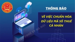 Cục Thuế Hà Nội chuẩn hóa dữ liệu mã số thuế cá nhân