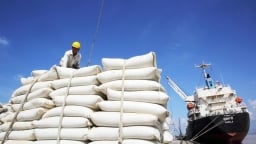 Xuất khẩu gạo Việt Nam đạt hơn 980 triệu USD trong quý 1