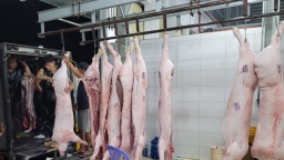 Vissan đạt lợi nhuận thấp vì sức mua thịt lợn giảm