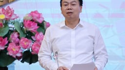 Thứ trưởng Bộ Tài chính: Đang xây dựng chính sách hỗ trợ doanh nghiệp FDI khi thực hiện thuế tối thiểu toàn cầu
