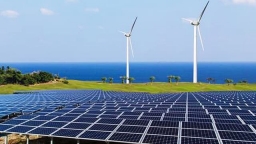 EVN phải đàm phán giá tạm thời cho dự án điện gió, điện mặt trời để phát điện lên lưới