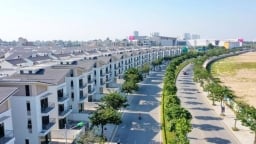 Mới '7 tháng tuổi', CTCP Phát triển Đô thị Mỹ Hào muốn làm dự án 3.371 tỷ đồng tại Hưng Yên